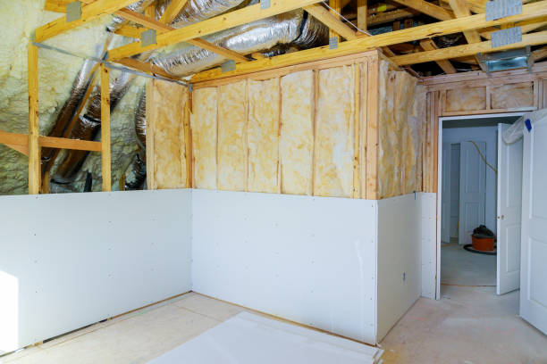 Best Insulation Maintenance and Repair in Onawa, IA